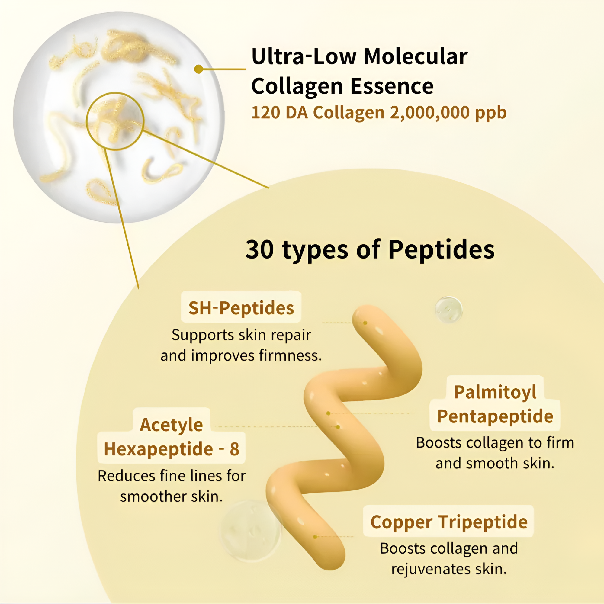 Korean Silk Lifting Peptide Ampoule