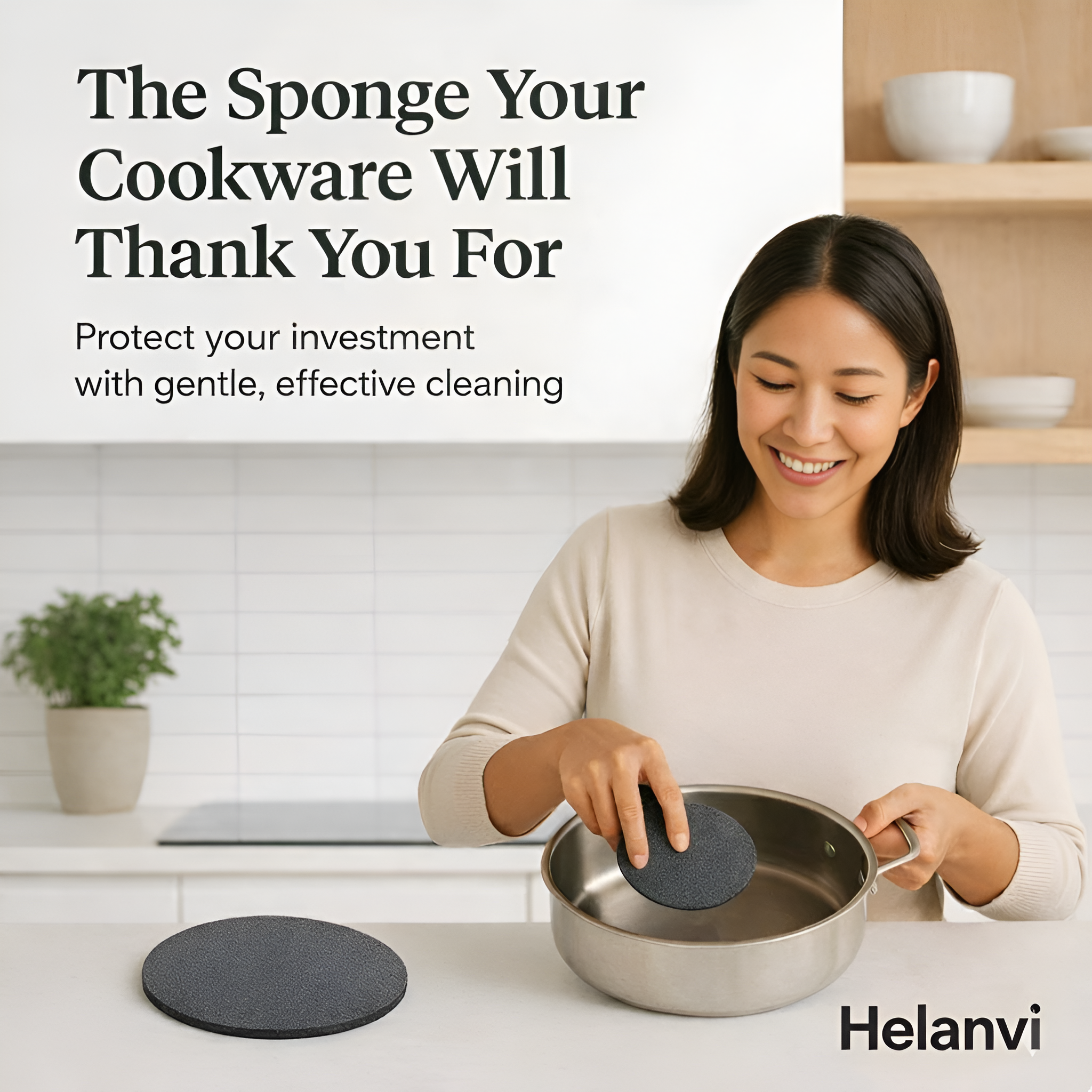 Helanvi Sponge for Stainless Steel