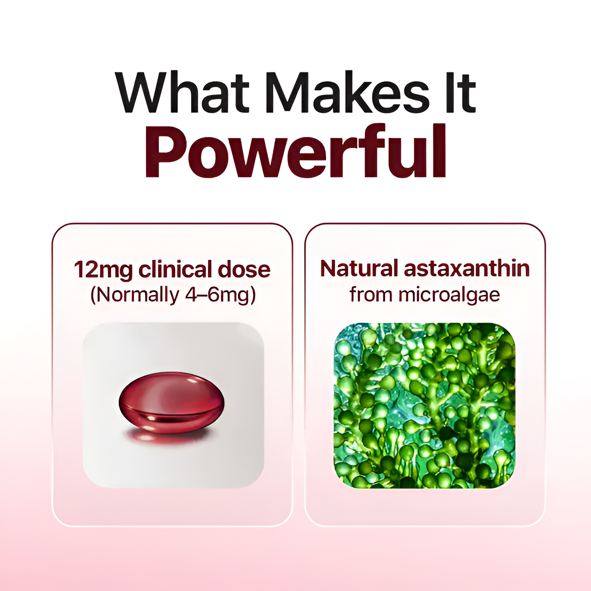 Mother Nature's Most Powerful Antioxidant